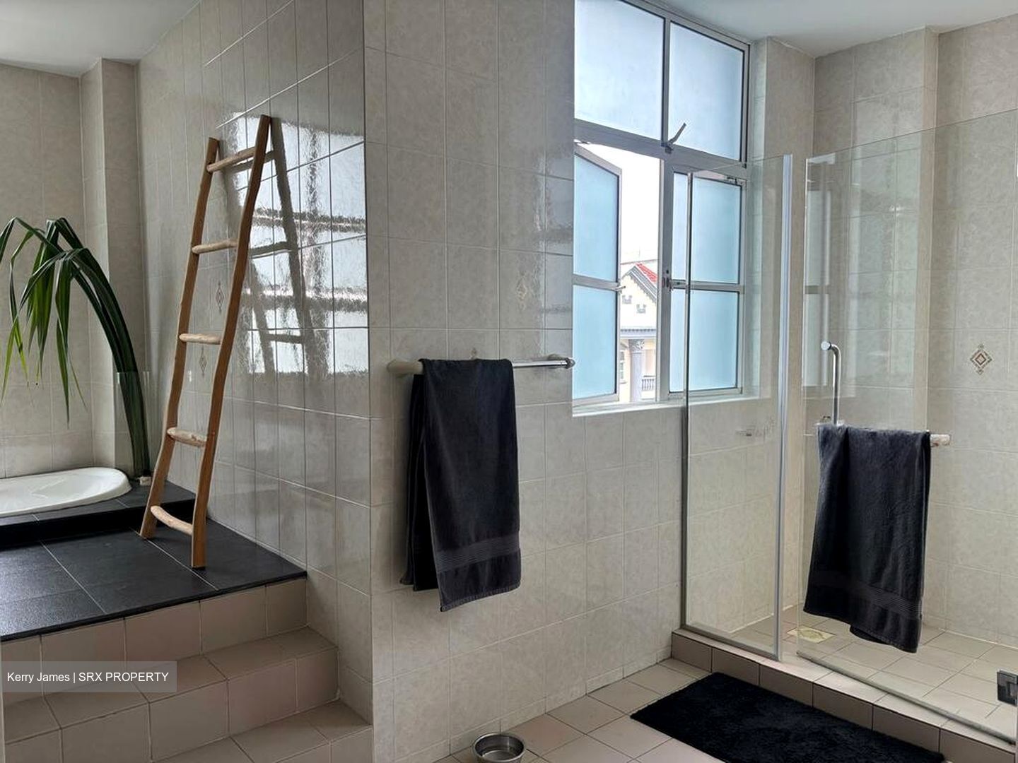 La Suisse (D11), Condominium #509459911